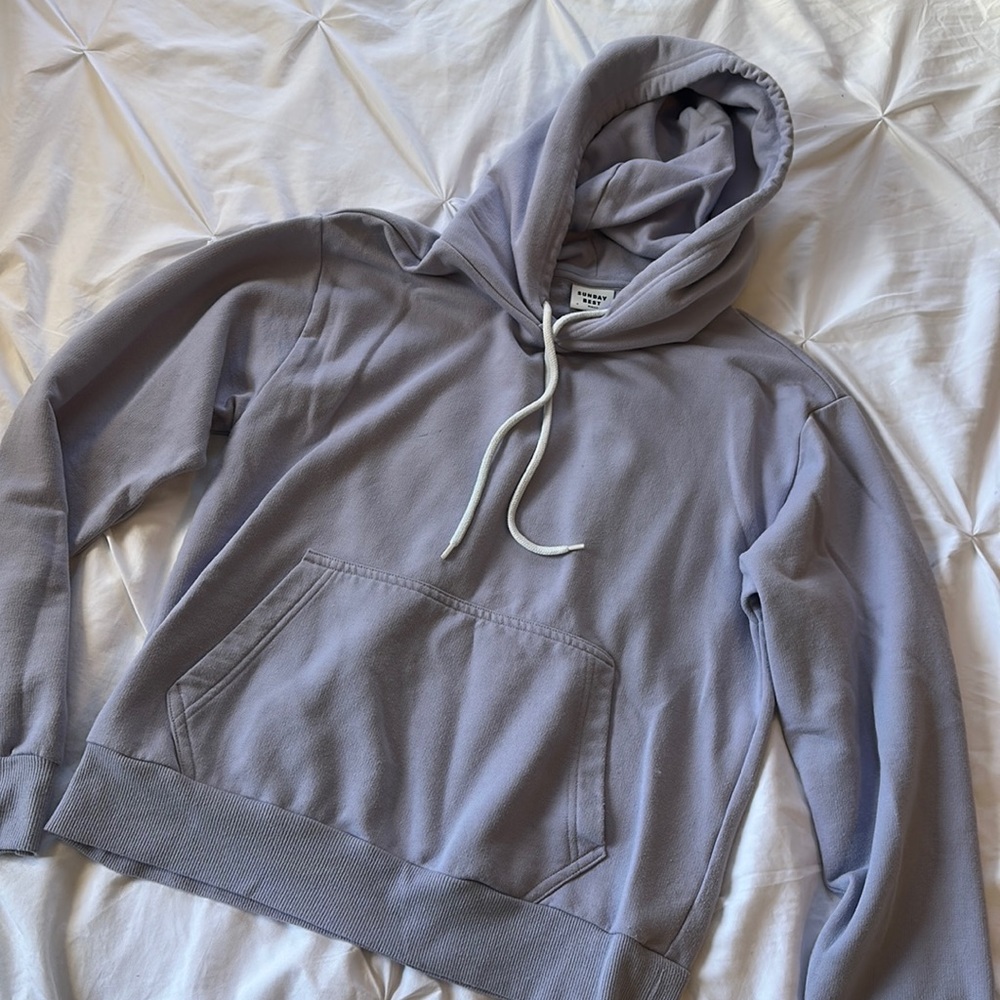 Aritzia Sunday best hoodie